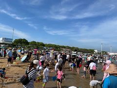 -碧海金沙