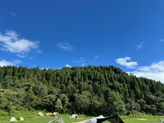 -武陵山森林公园