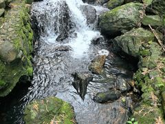 -宁波九龙湖开元度假村