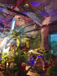 -恐龙探索乐园(磁器口店)