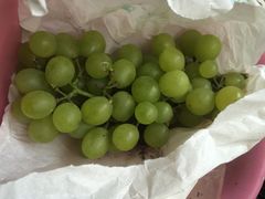 -马陆小张葡萄园农家乐