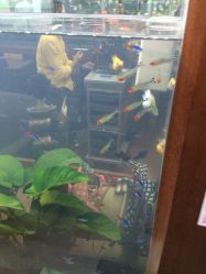 小左美发(南京东路店)-小左美发