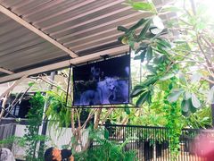 -TrueLove @ Neverland (Husky Cafe)