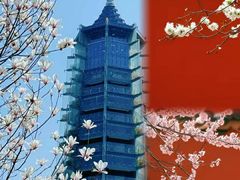-大报恩寺遗址景区