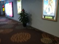 -华夏影城百步亭店(杜比全景声)