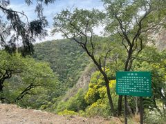-北京鹫峰国家森林公园