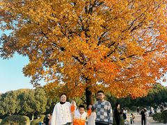 -南京市江宁方山