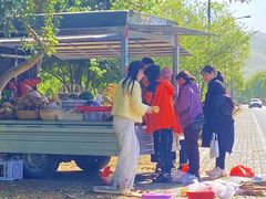 -山菜馆(竹海公园店)