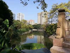 -晓港公园