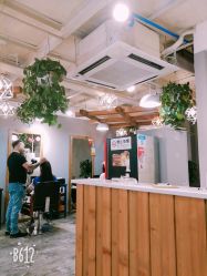 -青禾造型&刺青