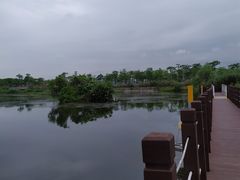 -芒洲湿地公园