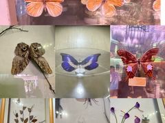 -陕西自然博物馆