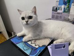 -嘉馨宠物医院·CT影像转诊·心脏科·犬猫全科诊疗中心(下沙大学城院区)