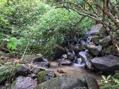 -火炉山森林公园