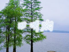 -四明湖
