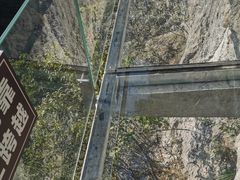 -千岛湖石林