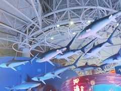 -烟台海昌鲸鲨海洋公园