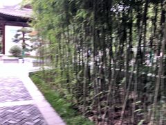 -莲湖公园