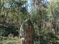 -上海佘山国家森林公园天马山园