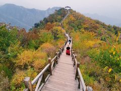 -大岭沟猕猴桃谷风景区