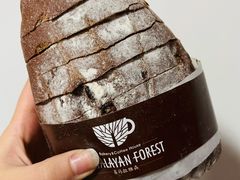 -喜马拉雅森HIMALAYAN FOREST