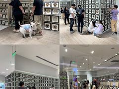 -深圳龙华星河COCO City(民治店)