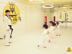 -勇气斑马·巴西柔术&跆拳道(浦东三林店)
