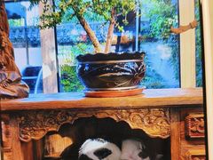 -慢丽江·云南野生菌土鸡锅(西山店)