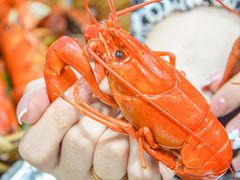 -星记小馆·小蓝龙·老南京砂锅菜(上海路店)