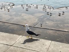 -星海广场