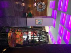 iphone_upload_pic-上海外滩英迪格酒店