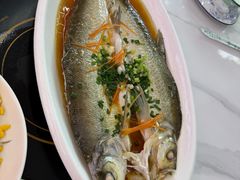-丹水桥地锅鱼·翘嘴鲌·地方特色全鱼宴(丹江口大坝店)