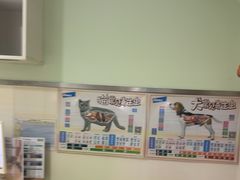 -佳雯宠物医院·皮肤科·内外科(春晓路分院)