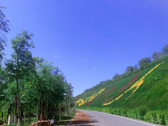 -小绿谷公园
