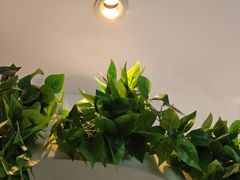-必胜客(大坪英利店)