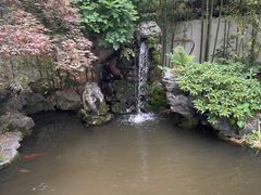 -上海醉白池公园
