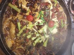 -老板恋上鱼(恒隆广场店)