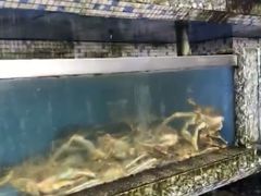 -新农都水产市场