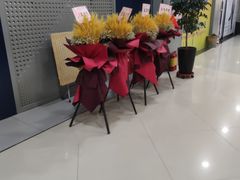 -同至人购物中心(朝阳街店)