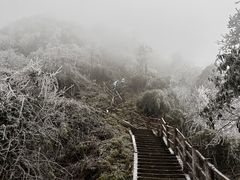 -峨眉山风景名胜区