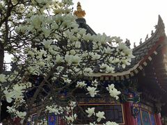 -西安市广仁寺