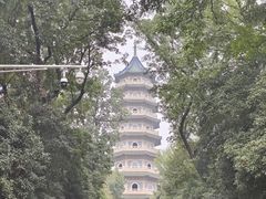-灵谷景区