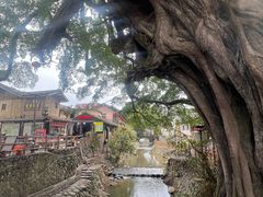 -福建土楼(南靖)景区