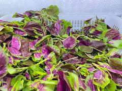 -黔府豆米火锅野菜馆(南马店)