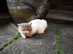 -老屋咖啡