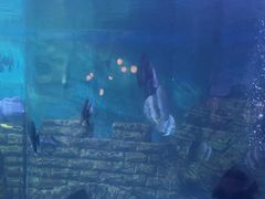 -烟台海昌鲸鲨海洋公园