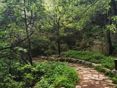 -阳台山自然风景区