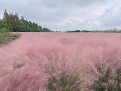 -嘉北郊野公园
