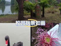 -浙江农林大学(东湖校区)