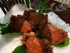 -同庆楼(花园店)